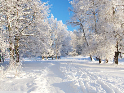 Winter 2024