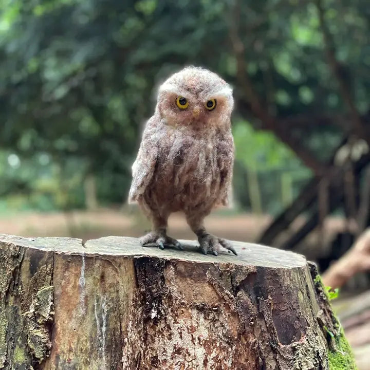 The Makers Life Size Little Owl Needle Felting Kit